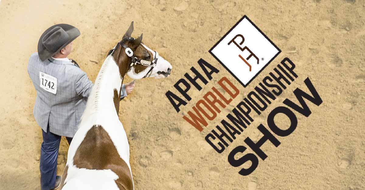 APHA World Championship Show schedule now available InStrideEdition