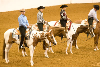 APHA World Show offers new recognition for Intermediate exhibitors