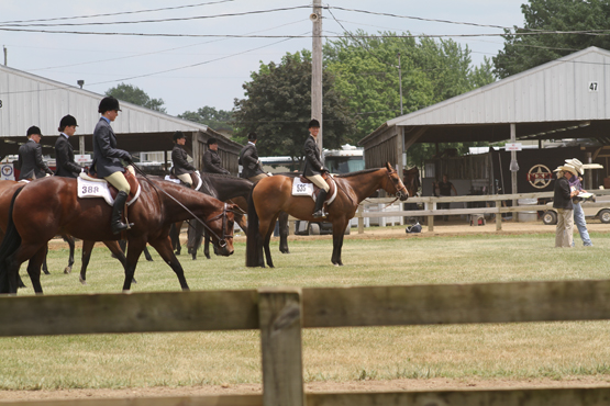 Tom Powers Futurity • Berrien Springs, Michigan • June 23-29, 2013