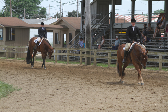 Tom Powers Futurity • Berrien Springs, Michigan