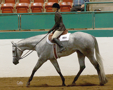 Tar Heel Fall Classic • Raleigh, North Carolina