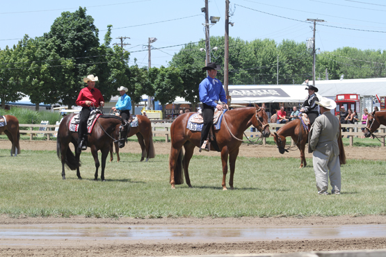 Tom Powers Futurity • Berrien Springs, Michigan