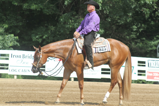 WPQHA 4th of July Celebration • Harlansburg, Pennsylvania