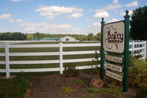 Ohio’s Bailey Farm, a place where pedigrees are built