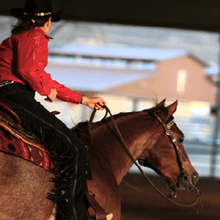Find Your AQHA Level
