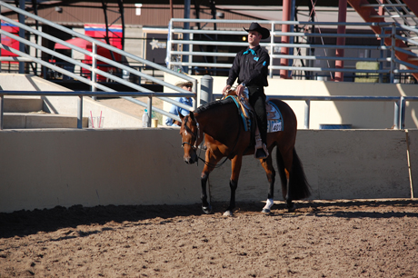 The Arizona Sun Circuit • Scottsdale, Arizona