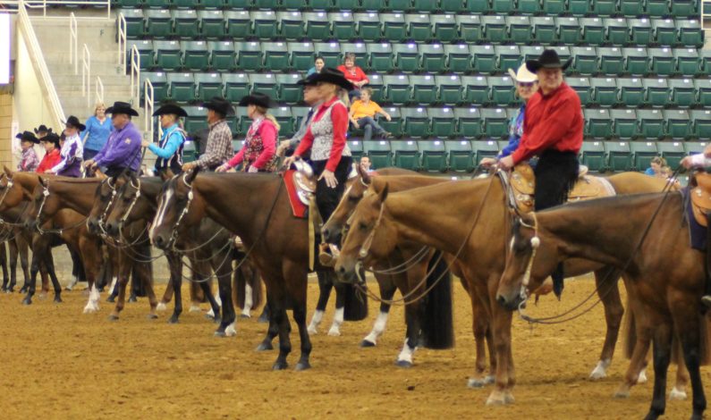 Later dates make Martinganza AQHA Circuit more user-friendly