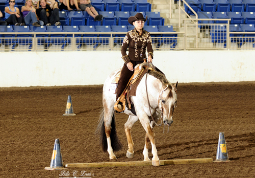 Keystone Classic Appaloosa Circuit Memorial Weekend in New Jersey