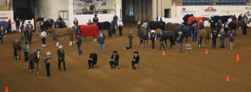 Virginia Classic • Lexington, Virginia • April 10-13, 2014