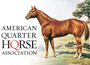 The AQHA approved recommendations from Animal Welfare Commission