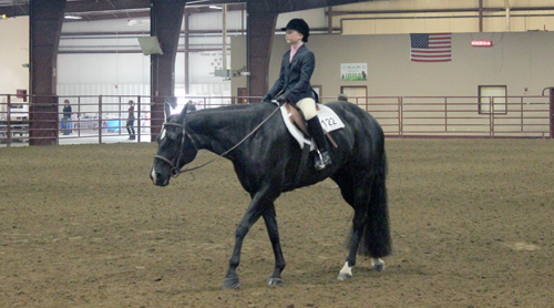 Freedom Special in Indiana is the largest Appaloosa Show in Midwest