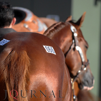 AQHA World Show Sale Adds Bonus Program