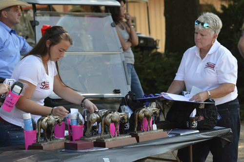 A Little Futurity • Raleigh, North Carolina • June 16-17, 2014