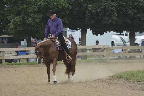 Carl Yamber wins benefit Bridleless Western Pleasure at the Powers