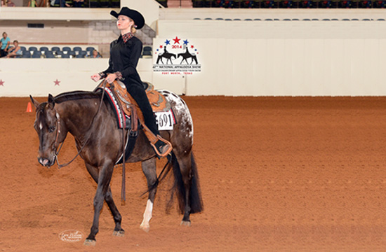 Appaloosa Horse Club 2015 Online World Sale