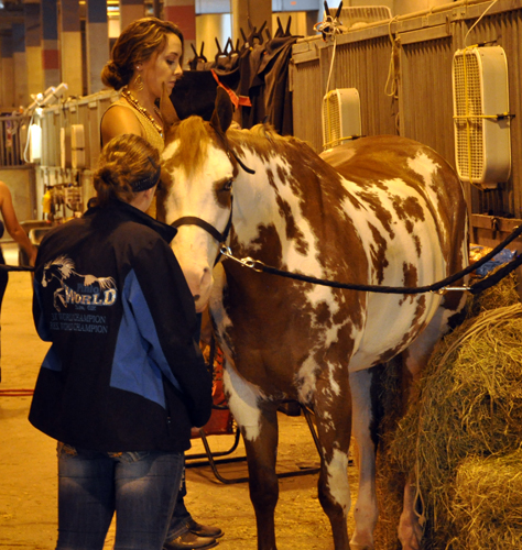 APHA Youth World • Fort Worth, Texas