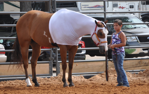 APHA Youth World • Fort Worth, Texas