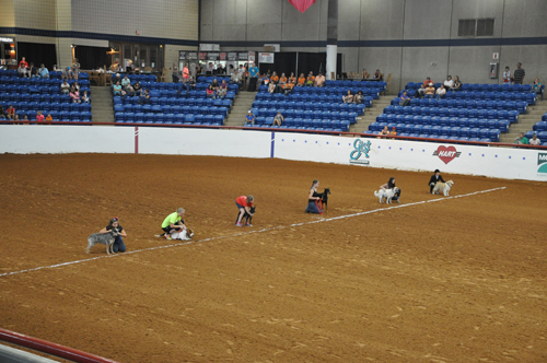 APHA Youth World • Fort Worth, Texas • June 23-July 5, 2014