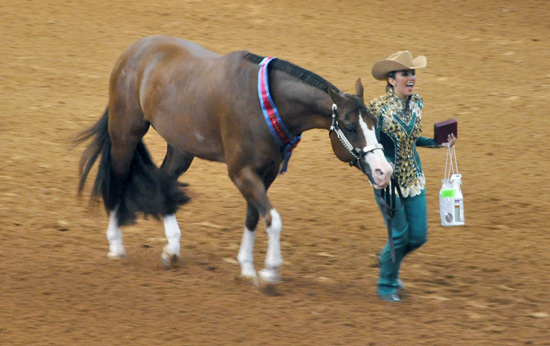 Anne-Marie Fortenberry returns to showing with AjPHA World title