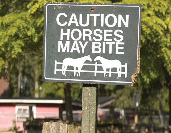 Caution Horses May Bite