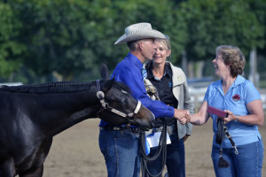 Randy Haines and Ima Fancy Schmancy, Non-Pro Western Longe Line winners