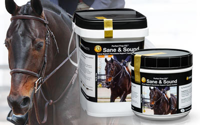 Sane-and-Sound_Calming_Horse_Supplement1
