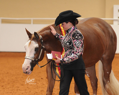 APHA’s Platinum Breeders’ Futurity modifications to increase payouts