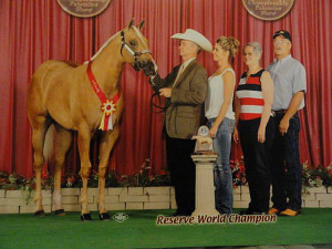 Sheza Cool Crusin, a 2011 mare by Mr Cool Cruisin