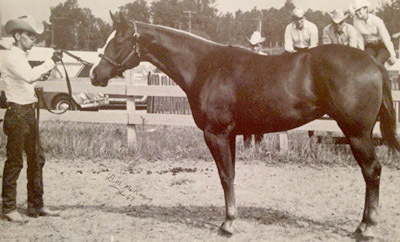 Billy Dickerson and Dudes Baby Doll, the mare he showed at the first Congress in 1967