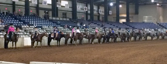 2014 AQHA Novice East Championships the largest to date