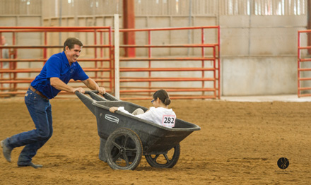 Cruse-Wheelbarrow