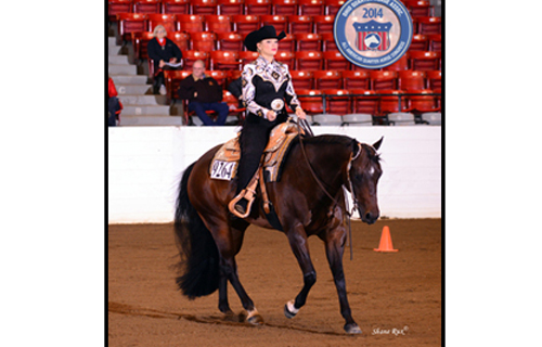 How It’s Made Horsemanship: Riding it to win