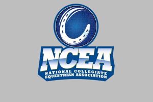 NCEA logo.ashx