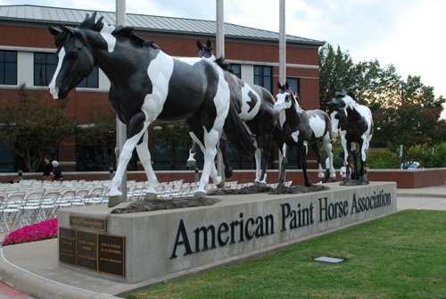 Come early to the APHA Convention for a farm tour of Texas horse country