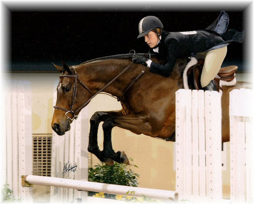 How It’s Made: Equitation Over Fences