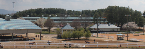 Virginia Horse Center to host Novice Championships
