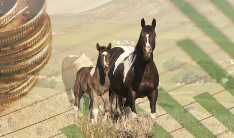 APHA Reports Positive Registration Numbers for 2014