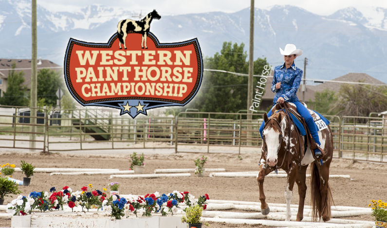 Utah to host Western Paint Horse Championships