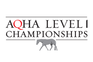 New Classes, Divisions and Sponsor Added to Level 1 Championships