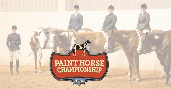 Paint Horse Championships