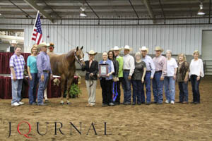 Kathy Willams and Intended Too win Jerry Wells Halter Futurity