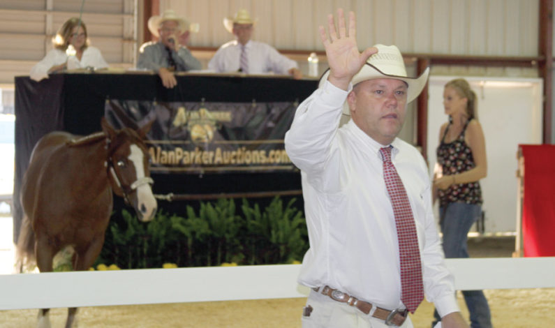 2015 Powers Yearling Sale features 76 outstanding pleasure prospects