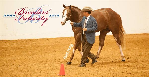 First APHA Breeders Futurity payment due July 15