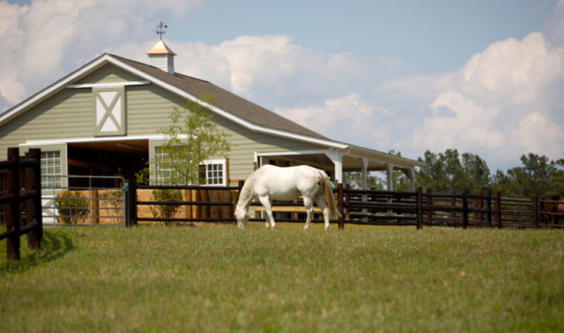 Equine Liability Statutes: Not always all-inclusive