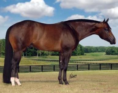 MASTERSON FARMS ANNOUNCES BREEDING PLAN FOR RL BEST OF SUDDEN