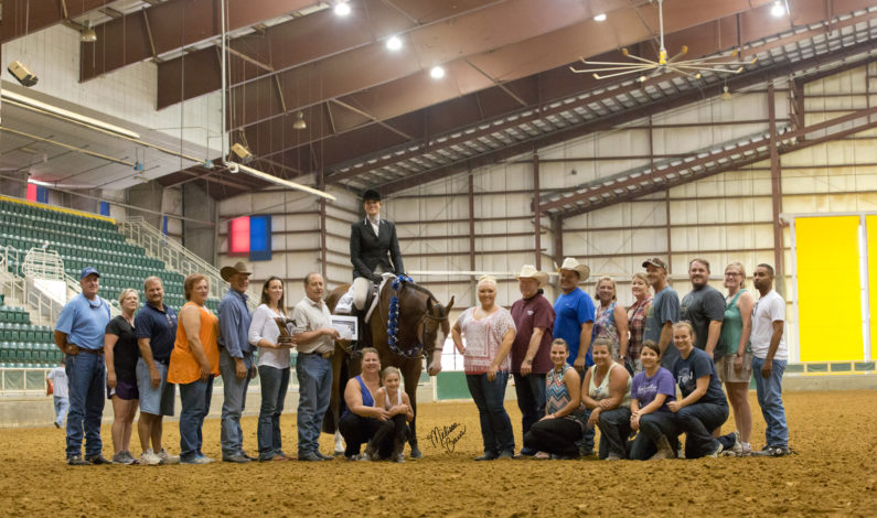 All In Blue wins Premier Paint Sires Hunter Under Saddle
