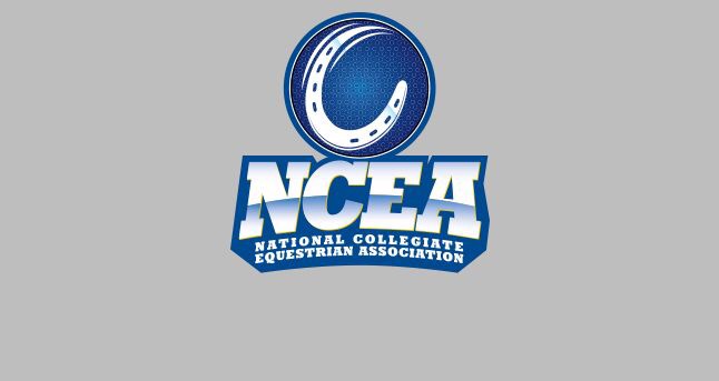 NCEA UPDATE ON EQUESTRIAN