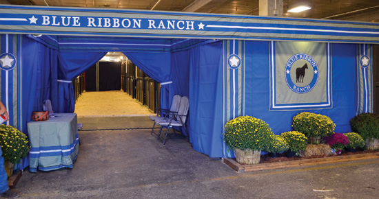 Blue Ribbon Ranch