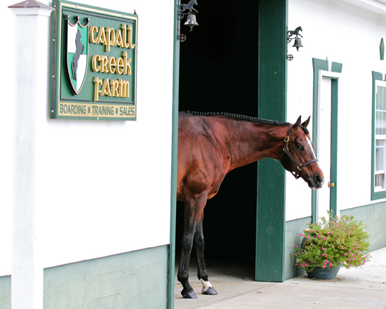 Capall Creek Farm: Smith family dedicated to Hunter Under Saddle
