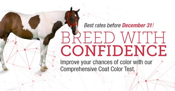 Breed with confidence using APHA Genetic Testing